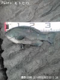 �����᥸��