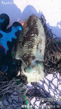 ���ߥ���