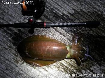 ¥¢¥ª¥ê¥¤¥«