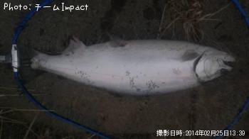 ¥µ¥¯¥é¥Þ¥¹