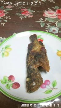 �������Х�