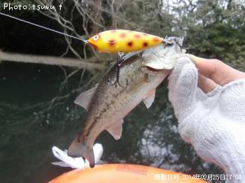 �֥�å��Х�