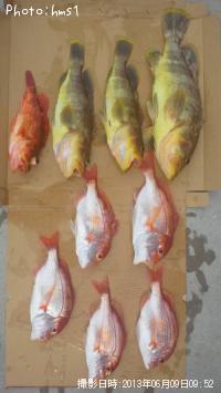 �������ʤ�