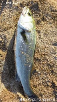 �����Х�