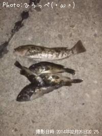 �����ʥ�