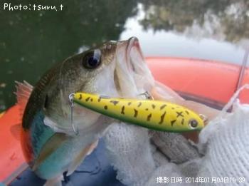 �֥�å��Х�