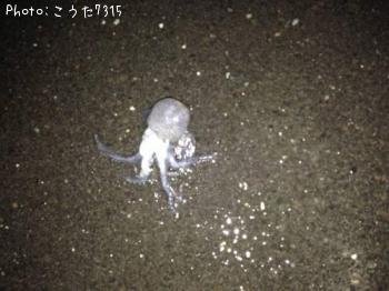 �����ꥤ��