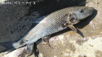 �����ˡ�