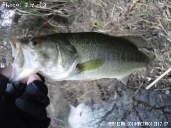 �֥�å��Х�