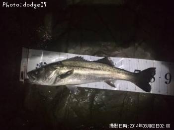 �����Х�