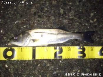 �����Х�