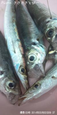 ���������ޥ�