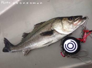 �����Х�