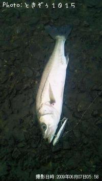 �����Х�