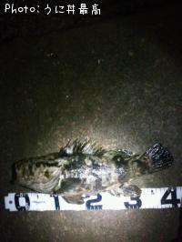 �٥å�������