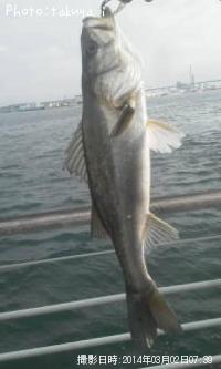 �����Х�