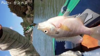 �֥롼����