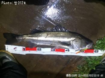 �����Х�