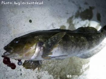 �����ʥ�