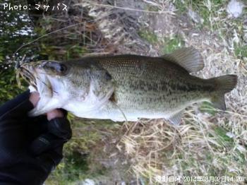 �֥�å��Х�