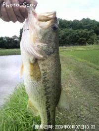 �֥�å��Х�