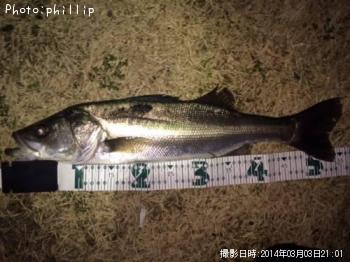 �����Х�