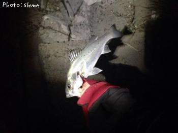 �����Х�