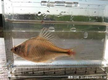 �����ꥯ�Х饿�ʥ�