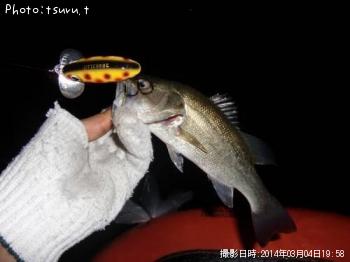 �֥�å��Х�