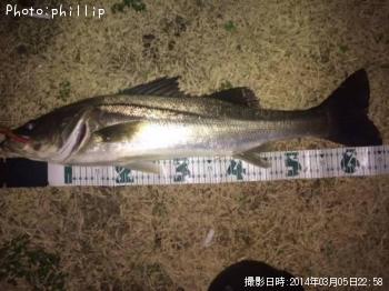 �����Х�