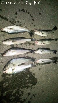 �����Х�