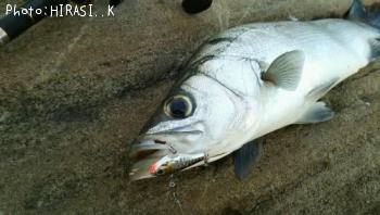 �ҥ饹����