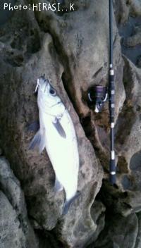 �ҥ饹����