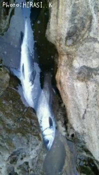 �ҥ饹����