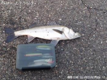 �����Х�