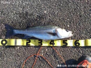 �����Х�