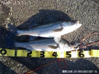 �����Х�