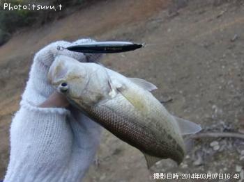 ¥Ö¥é¥Ã¥¯¥Ð¥¹