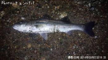 �����Х�