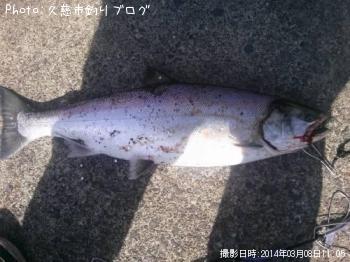 ¥µ¥¯¥é¥Þ¥¹