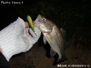 �֥�å��Х�