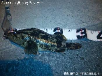 �����Υ���Х�