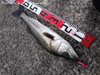 �����Х�