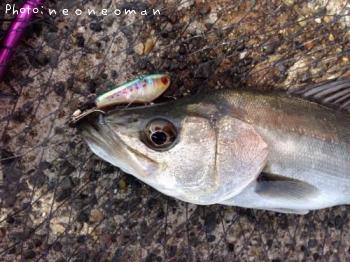 �����Х�