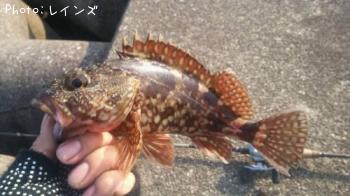 ����������Х�