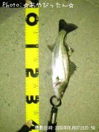 �����Х�