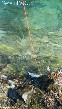 �ҥ饹����