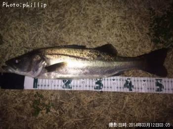 �����Х�