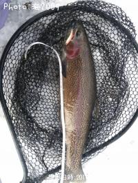 ¥í¥Ã¥¯¥È¥é¥¦¥È