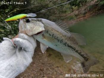 �֥�å��Х�